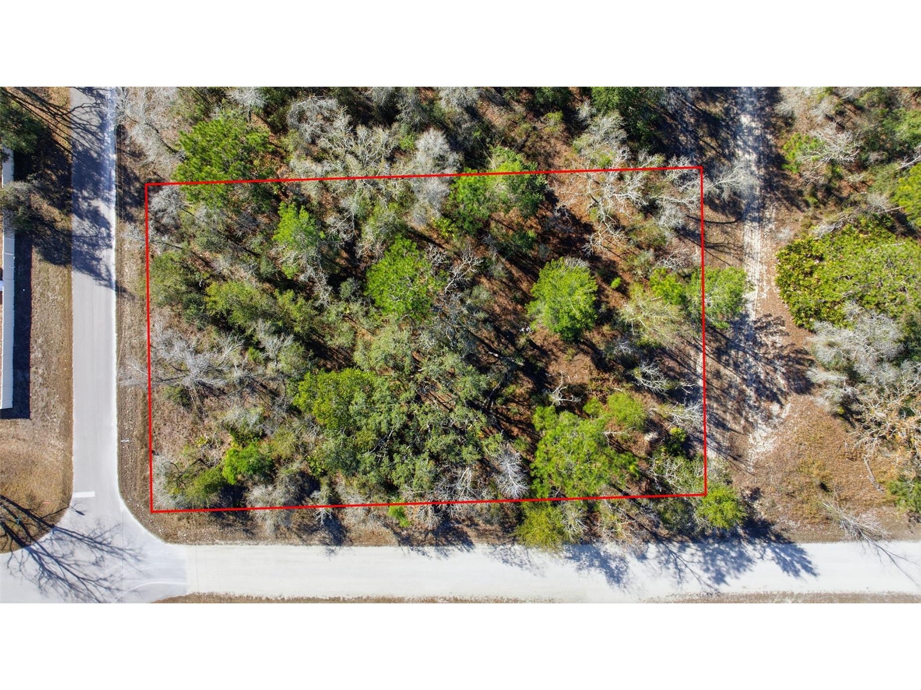 12217 House Finch Road Weeki Wachee FL 34614 TB8465984 image1