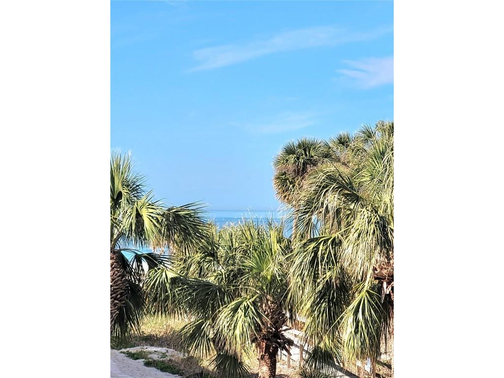 12217 Sunshine Lane Treasure Island FL 33706 TB8447704 image23