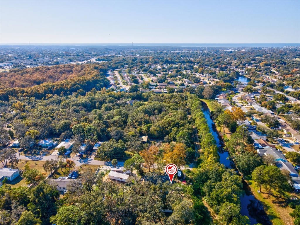 12218 Elkton Avenue Hudson FL 34667 W7880823 image44