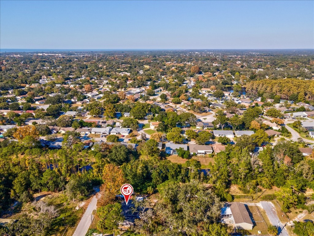 12218 Elkton Avenue Hudson FL 34667 W7880823 image45