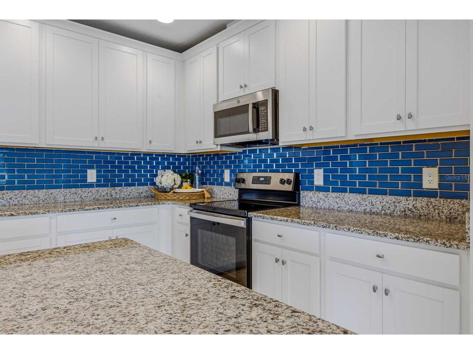 12218 Gothic Road Spring Hill FL 34610 TB8482472 image7