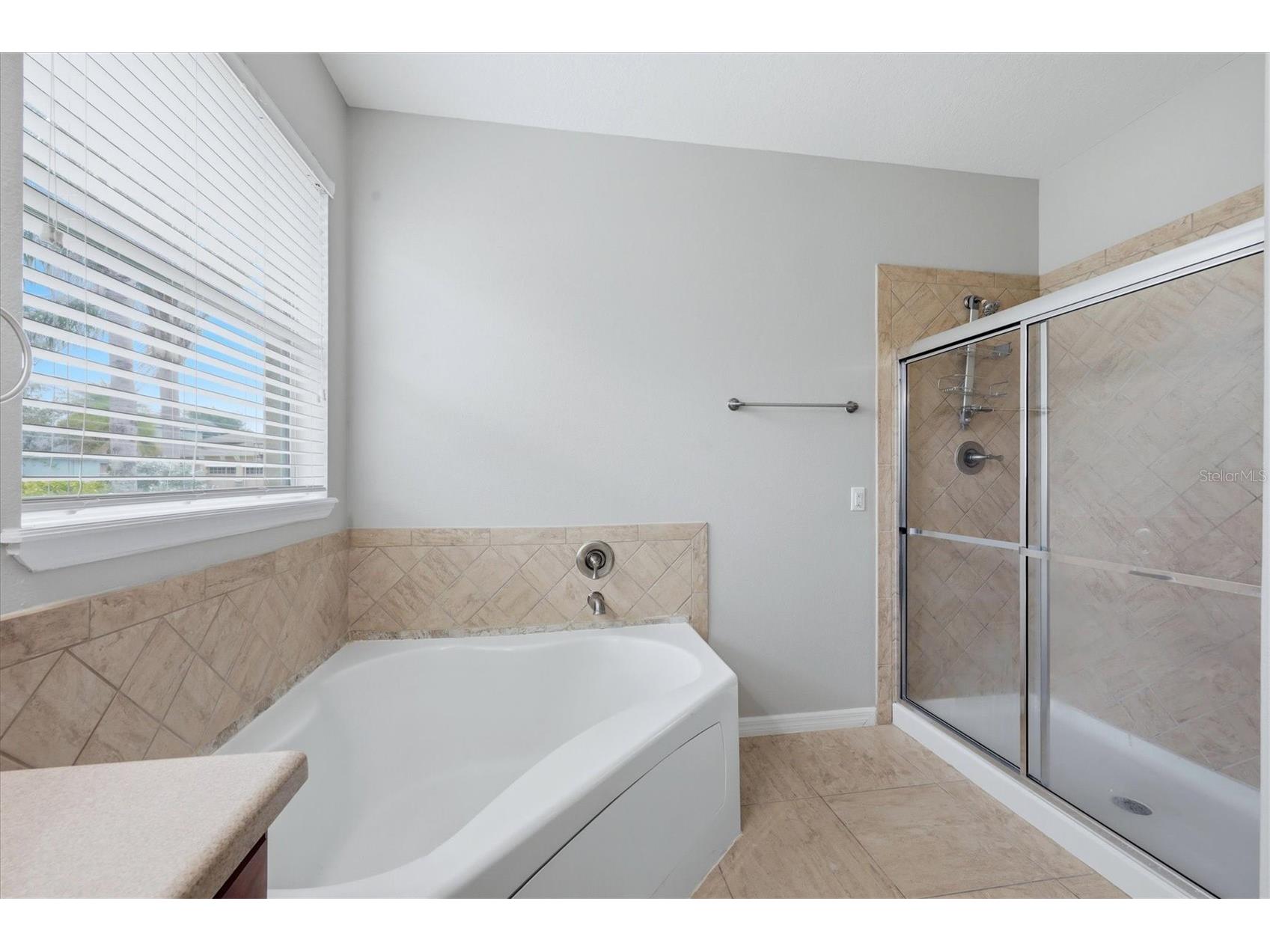 12218 Lavender Loop Bradenton FL 34212 A4695746 image23