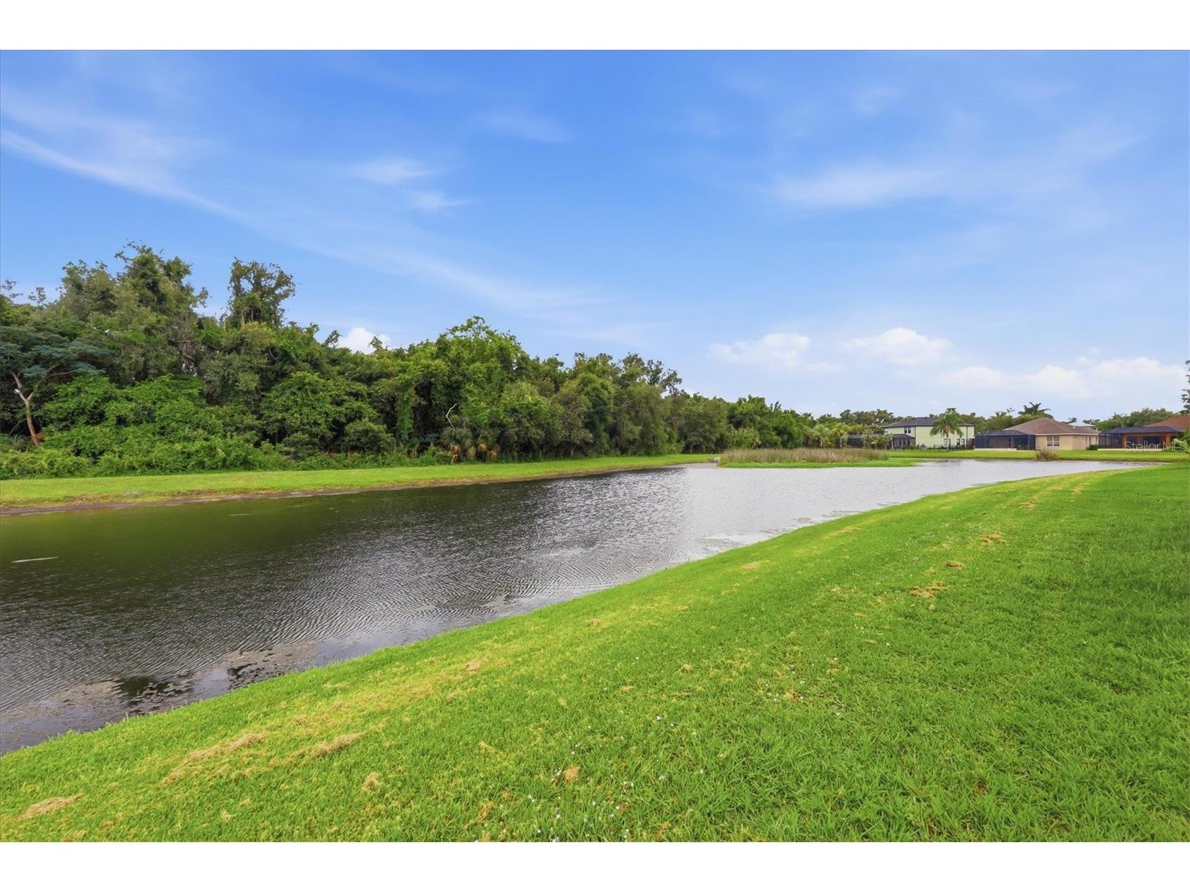 12218 Lavender Loop Bradenton FL 34212 A4695746 image37