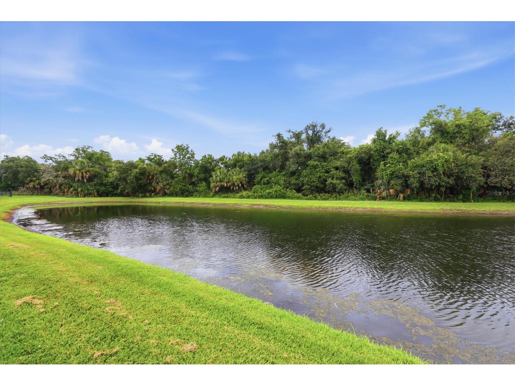12218 Lavender Loop Bradenton FL 34212 A4695746 image38