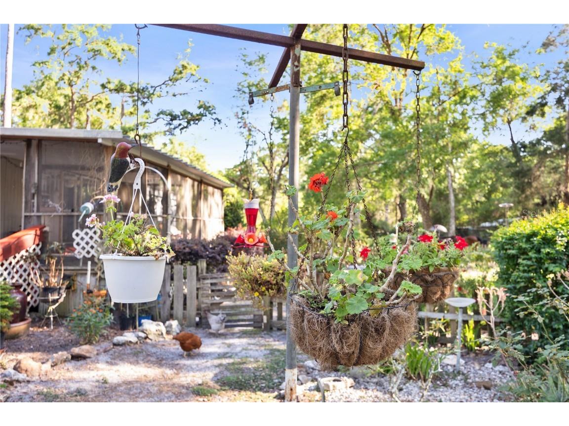 12218 SW 40th Street Webster FL 33597 W7874503 image1