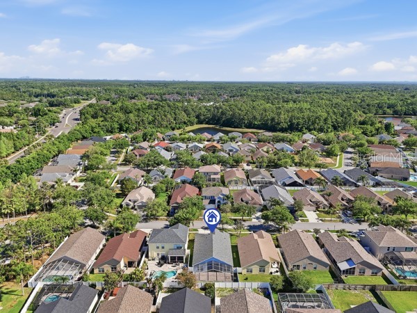 12219 Bishopsford Drive Tampa FL 33626 TB8498118 image48