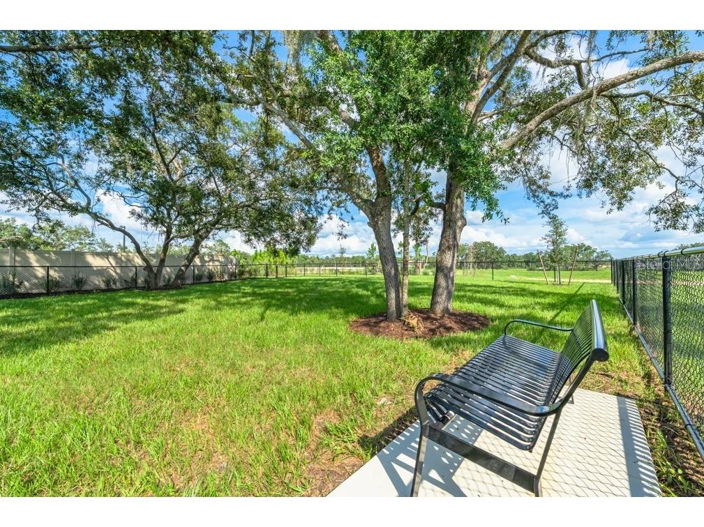 12219 Tempest Lane Hudson FL 34669 TB8497675 image22