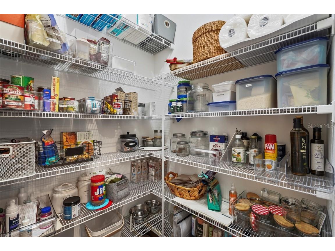 12219 Violet Jasper Drive Parrish FL 34219 A4669376 image26