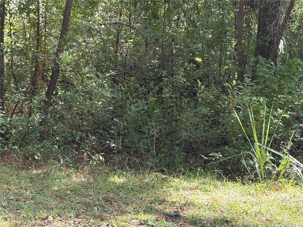 1222 Clover Terrace Inverness FL 34452 FC313424 image4