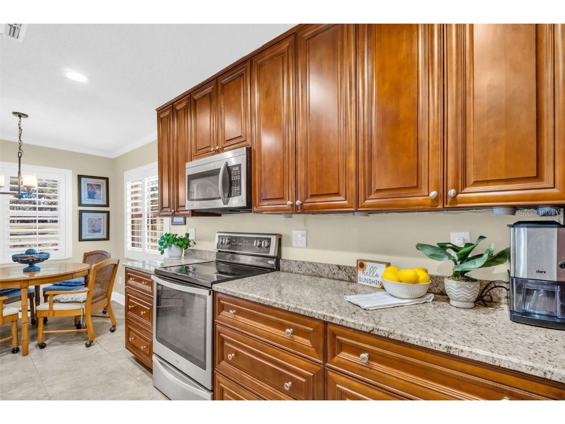 1222 Gillespie Drive Palm Harbor FL 34684 TB8449526 image20