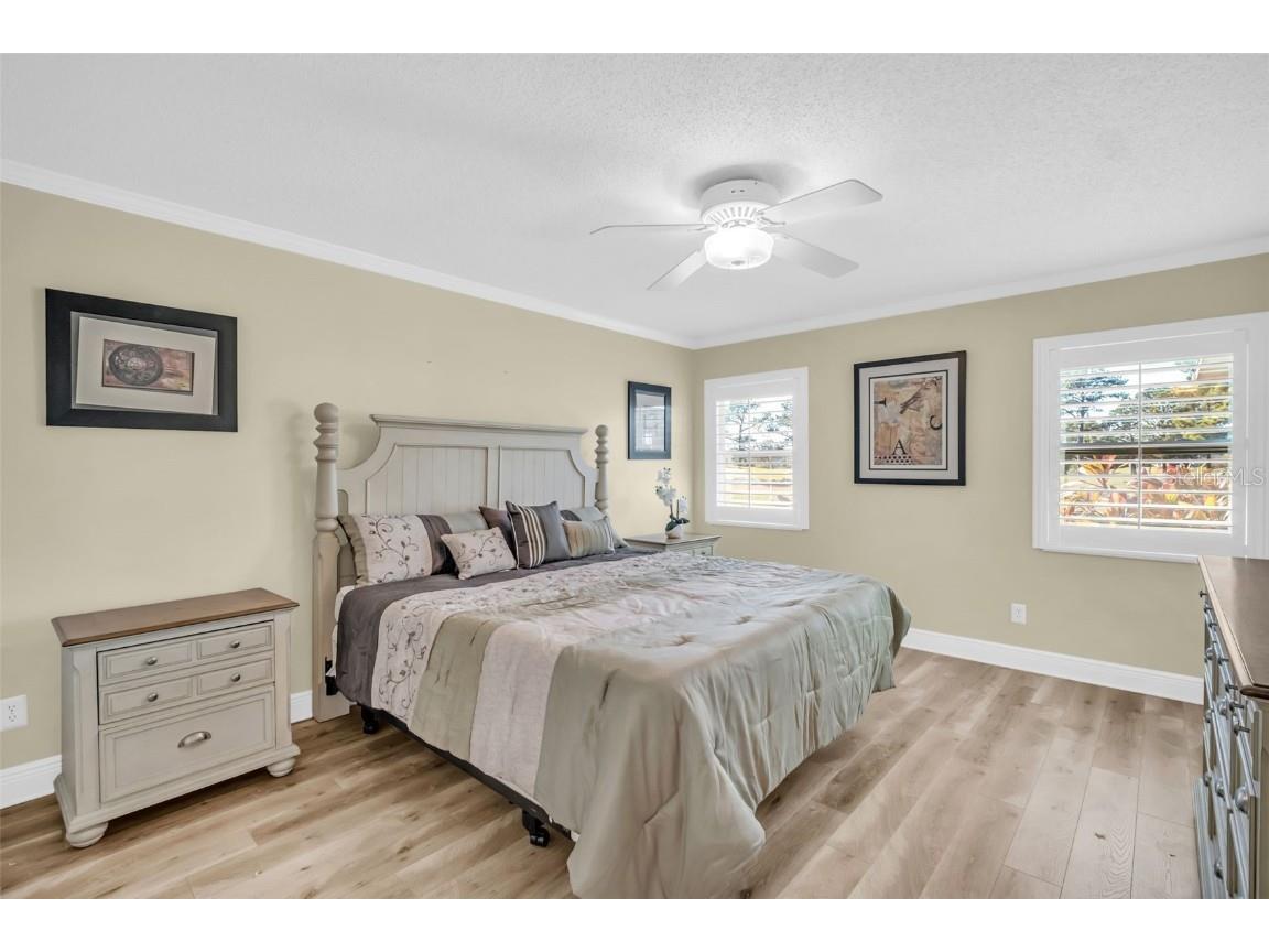 1222 Gillespie Drive Palm Harbor FL 34684 TB8449526 image21