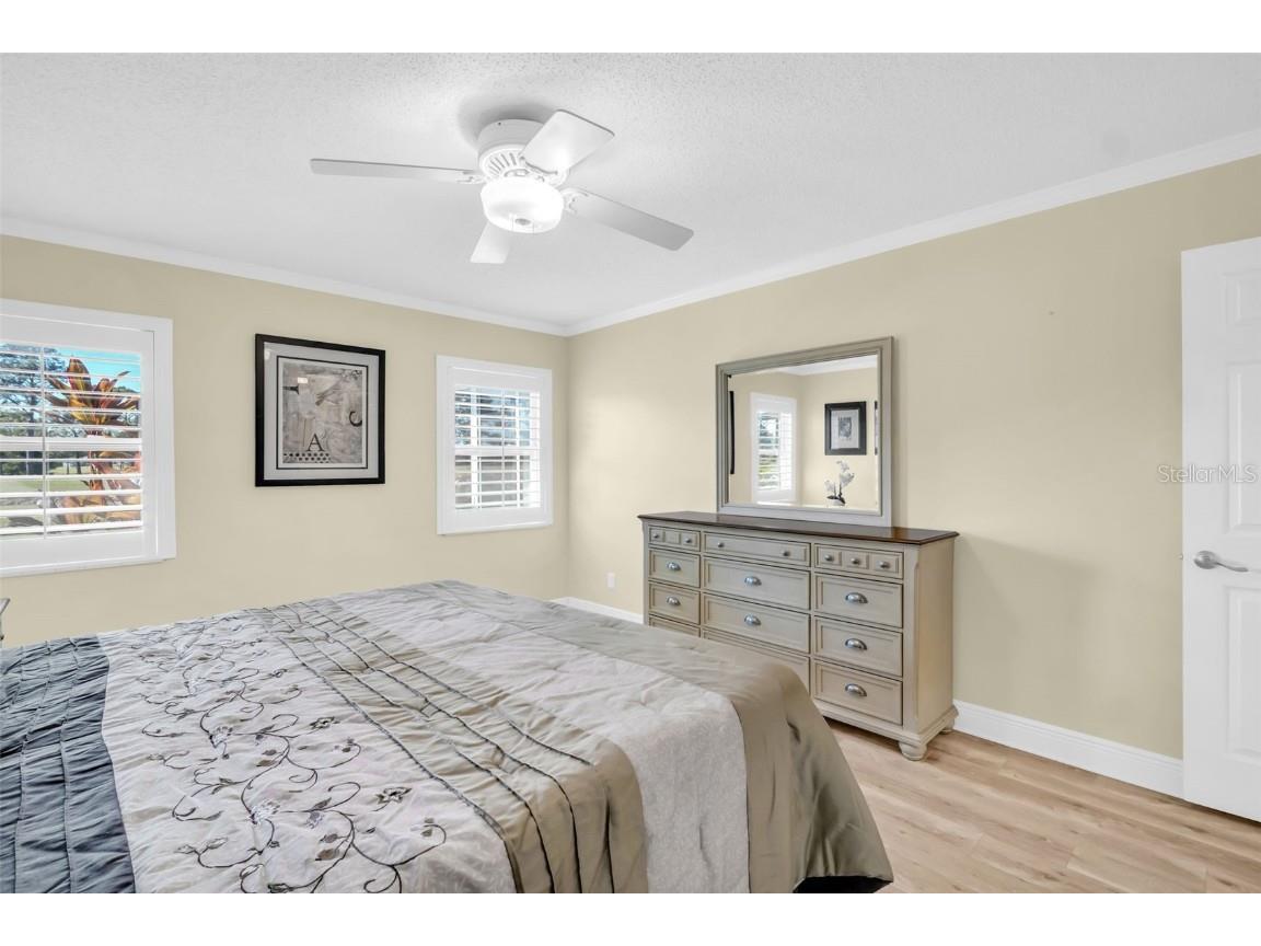 1222 Gillespie Drive Palm Harbor FL 34684 TB8449526 image22