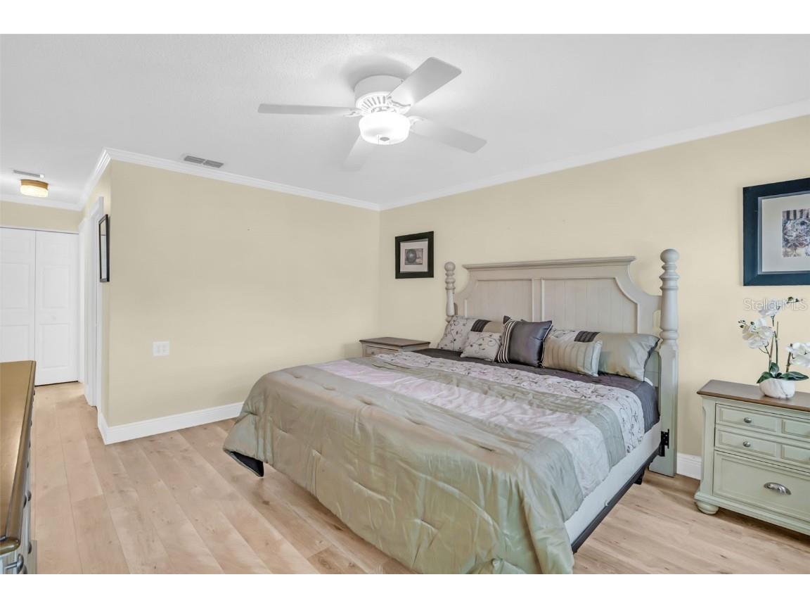 1222 Gillespie Drive Palm Harbor FL 34684 TB8449526 image23