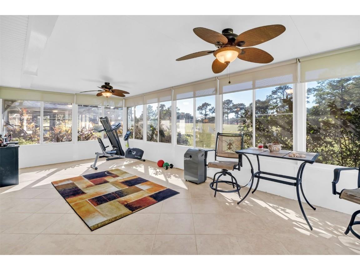 1222 Gillespie Drive Palm Harbor FL 34684 TB8449526 image27