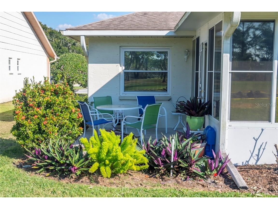 1222 Gillespie Drive Palm Harbor FL 34684 TB8449526 image35