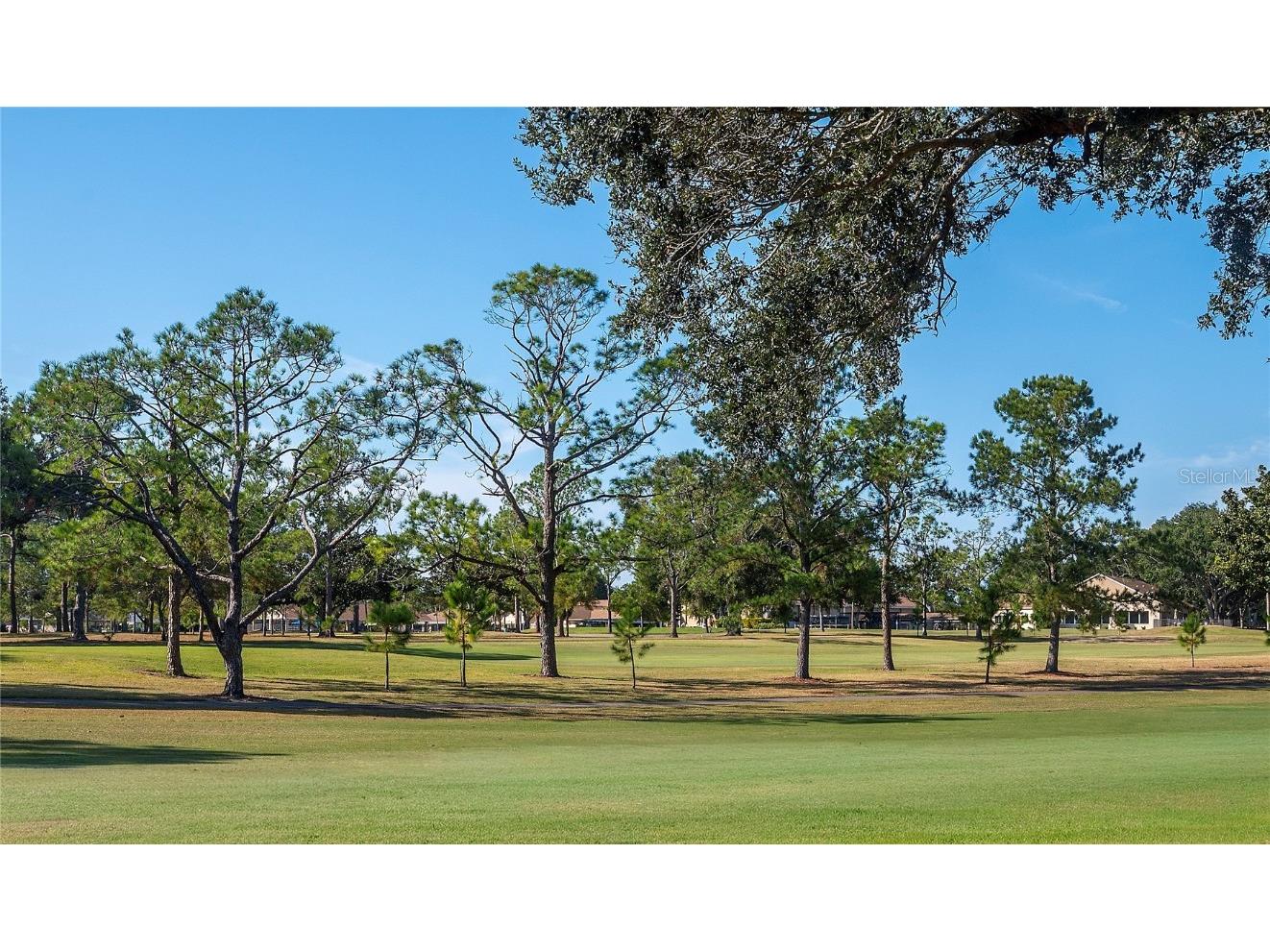 1222 Gillespie Drive Palm Harbor FL 34684 TB8449526 image37