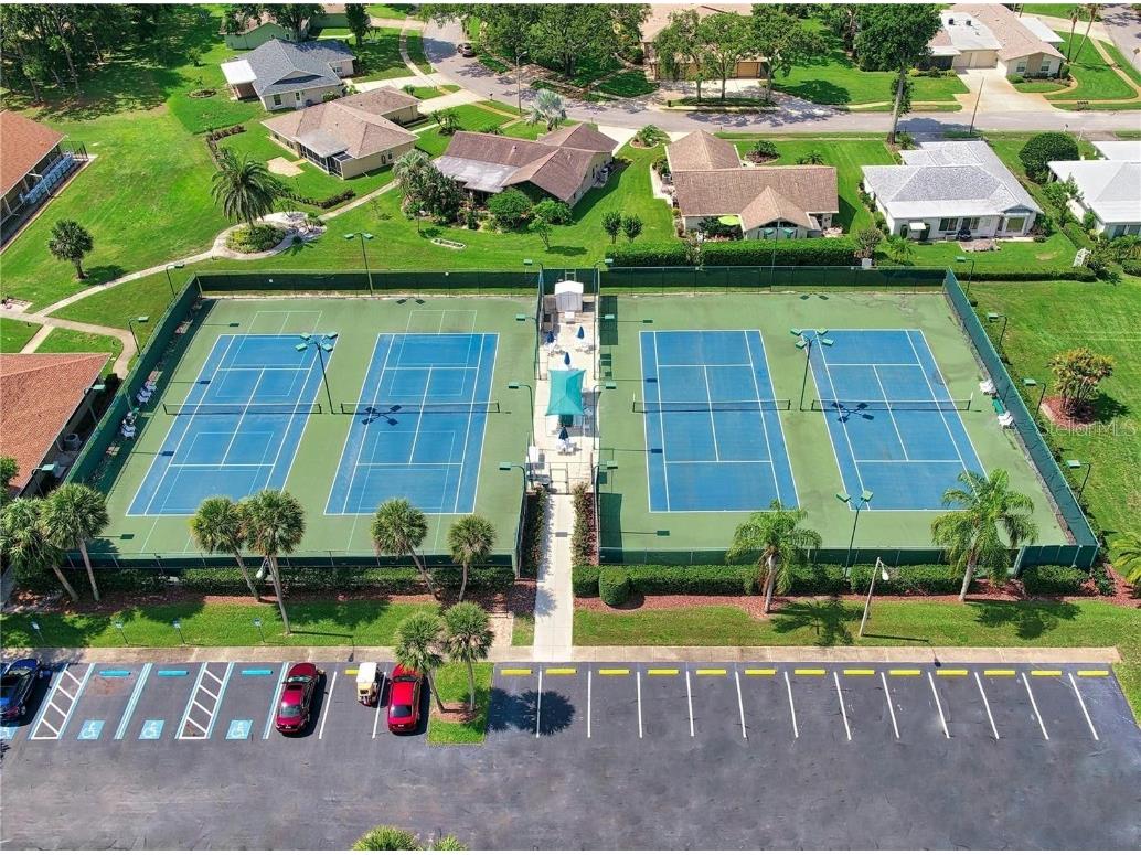 1222 Gillespie Drive Palm Harbor FL 34684 TB8449526 image46