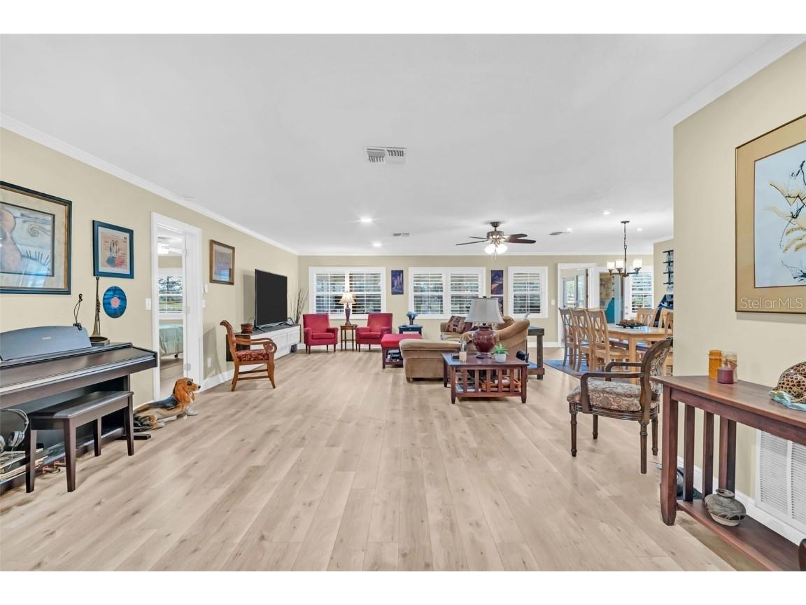 1222 Gillespie Drive Palm Harbor FL 34684 TB8449526 image9