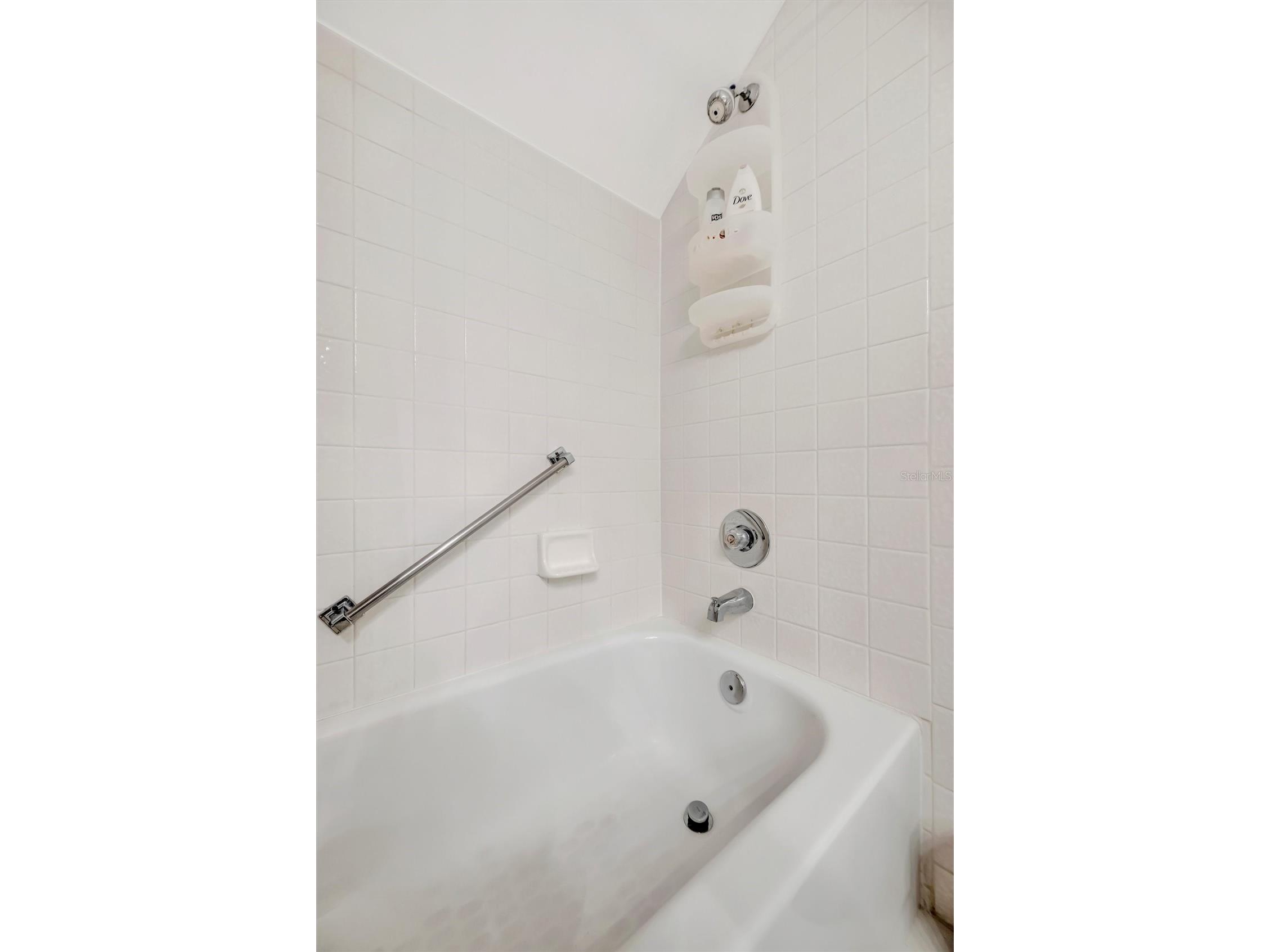 1222 Golfview Woods Drive #1222 Sun City Center FL 33573 A4678432 image49