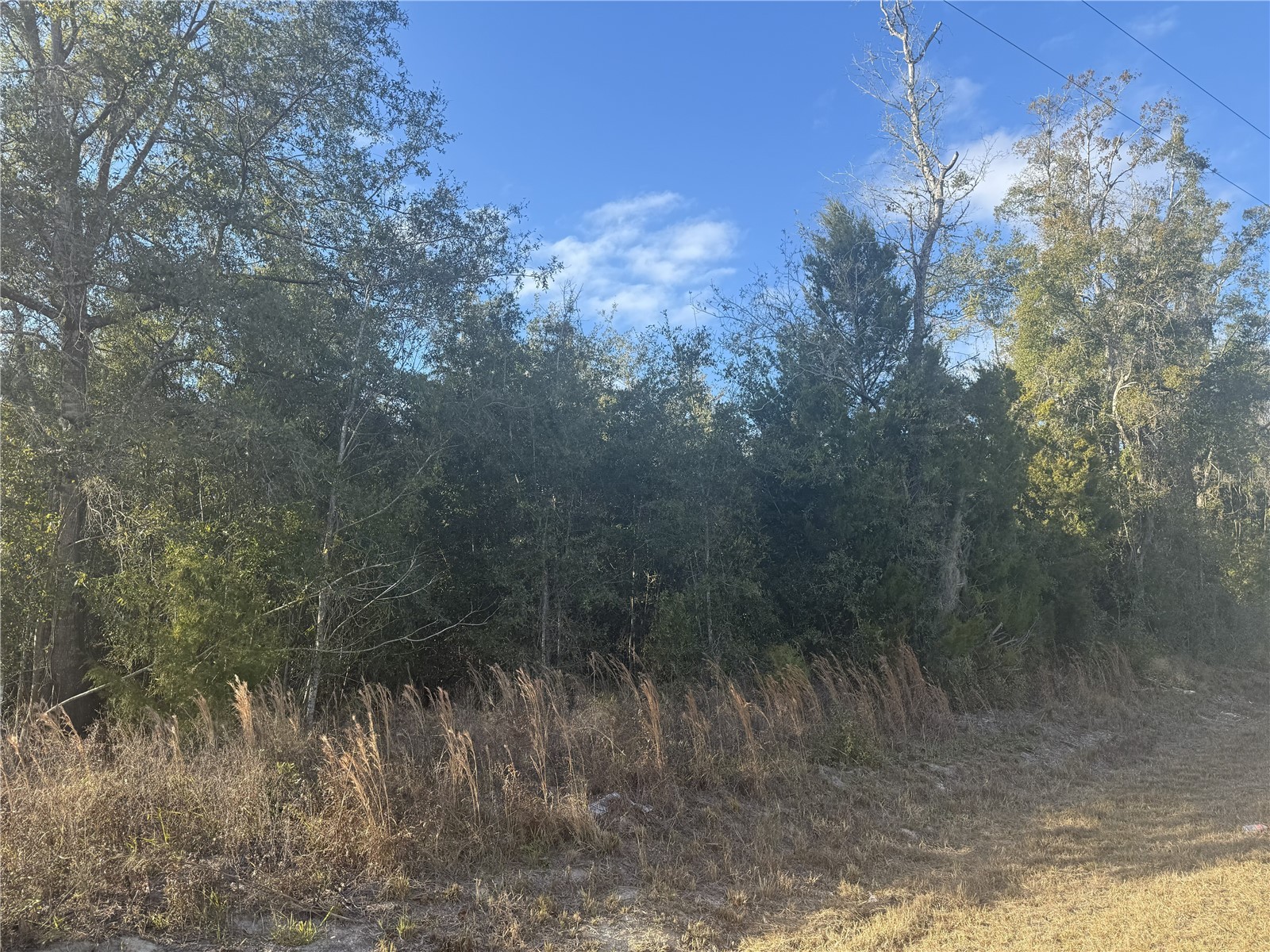 1222 SW Old Wire Road Lake City FL 32024 GC536052 image1