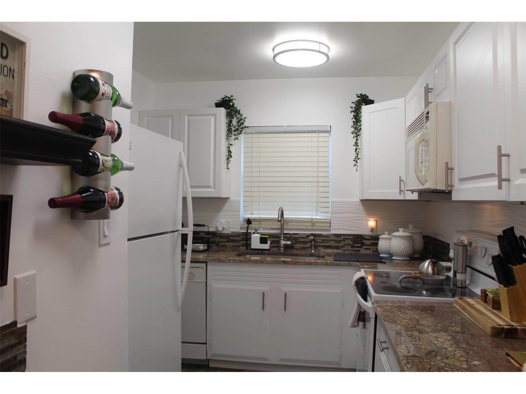 1222 Villa Lane #136 Apopka FL 32712 S5144687 image9