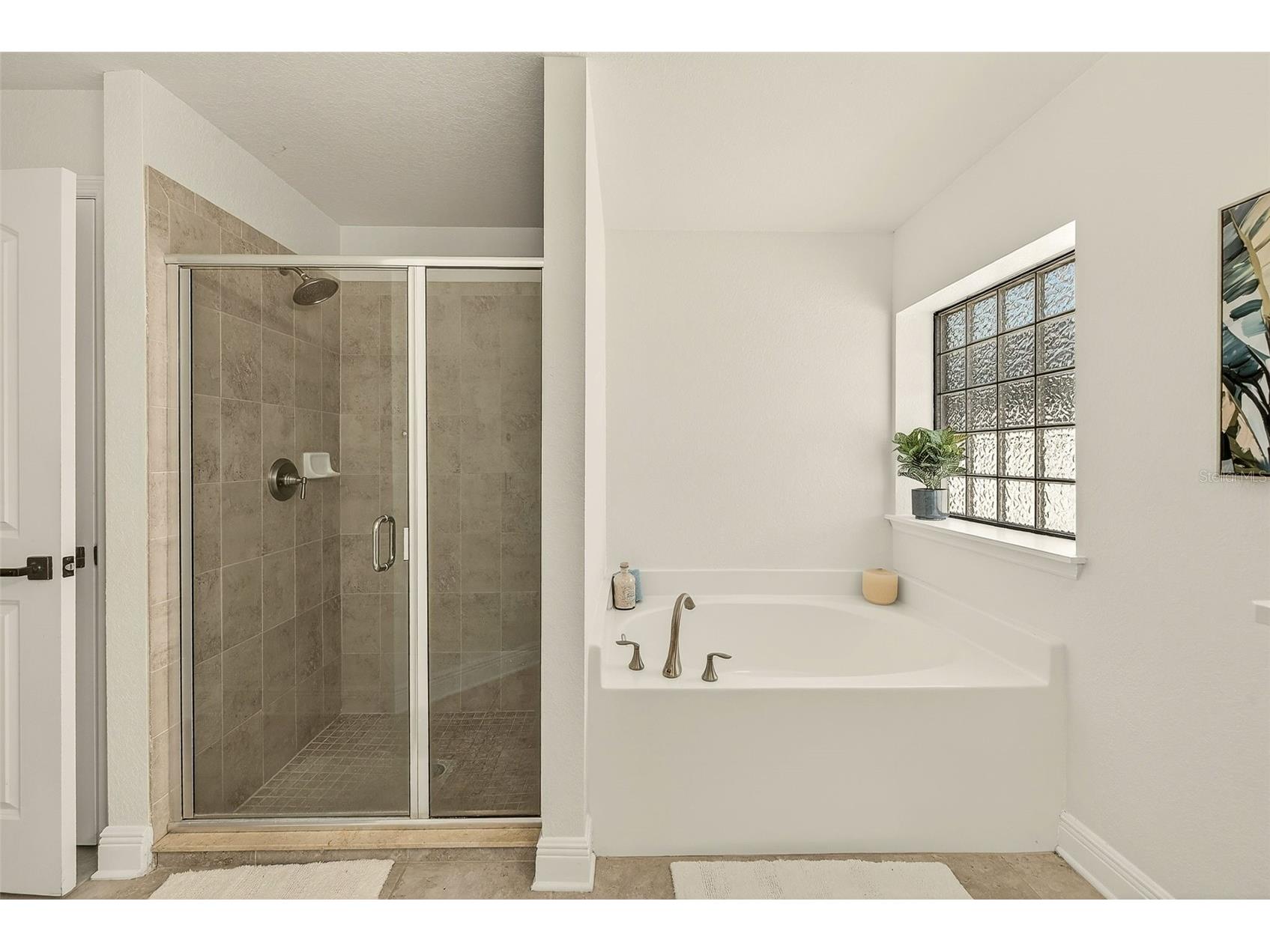 12220 Legacy Bright Street Riverview FL 33578 TB8502649 image19