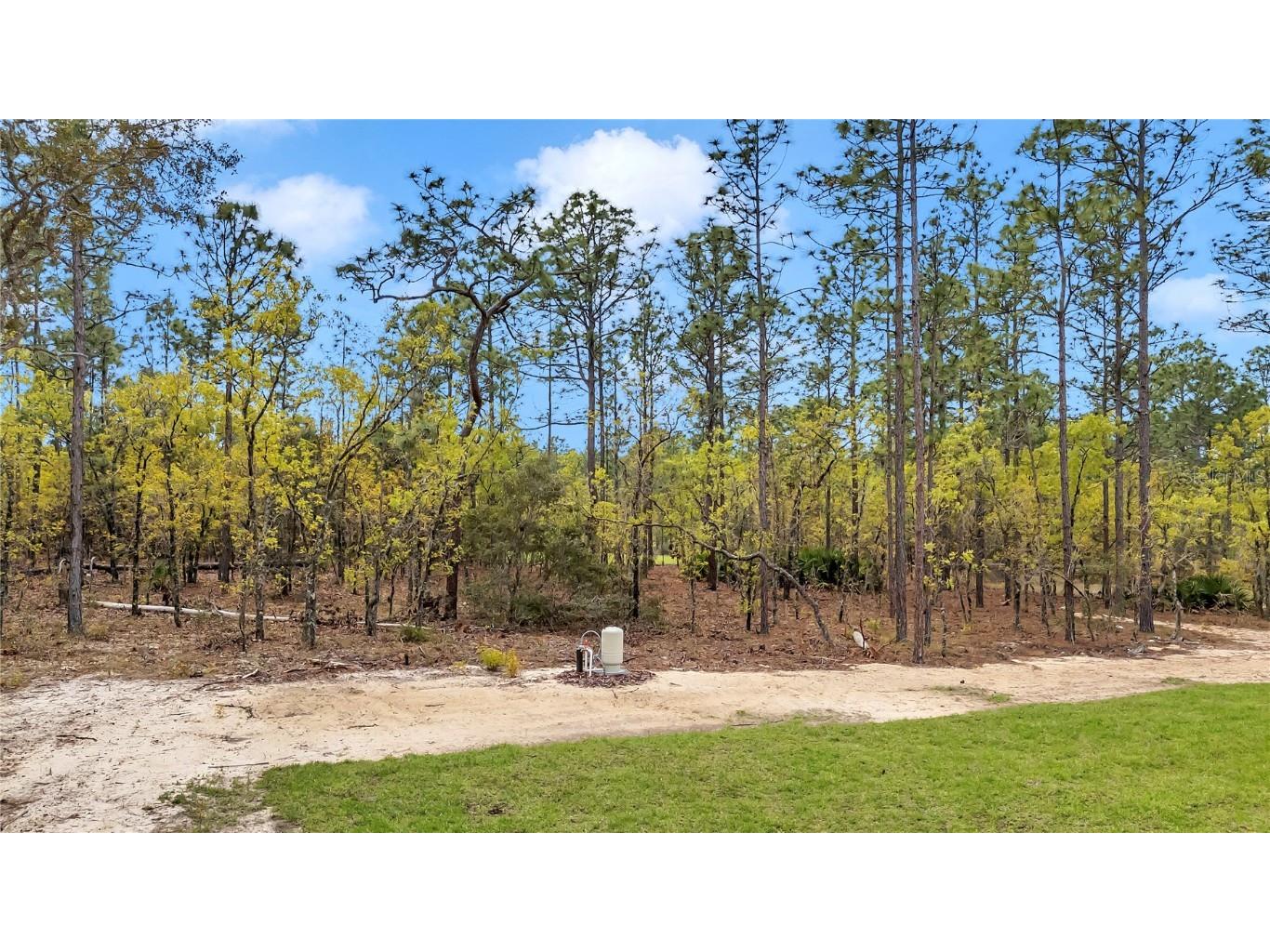 12220 SW 76th Lane Dunnellon FL 34432 O6263176 image50