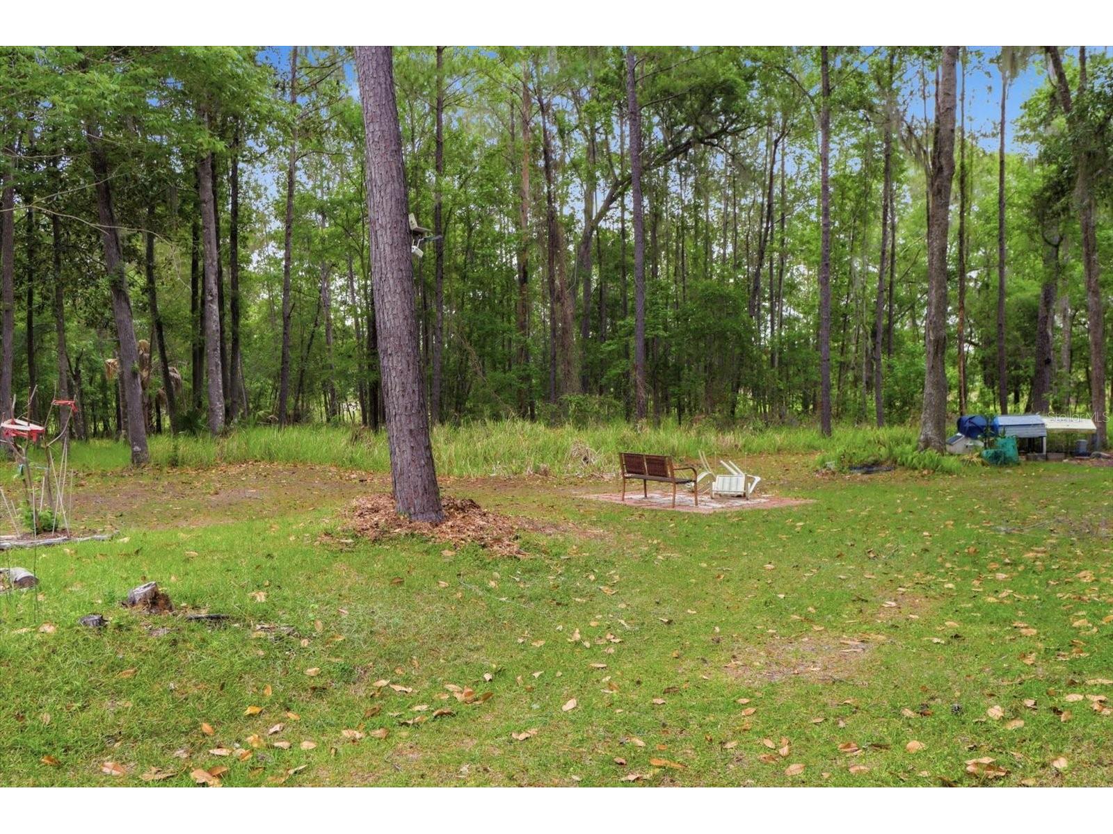 12220 Timber Lane Brooksville FL 34601 W7885578 image48