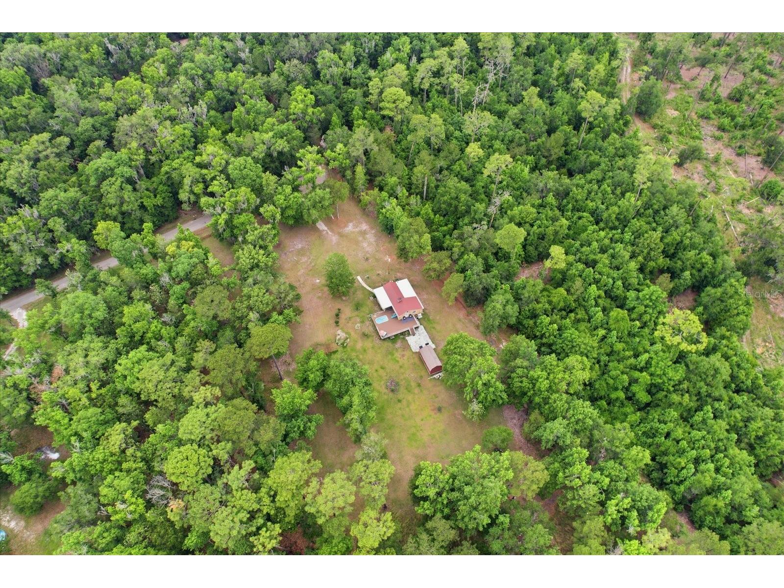 12220 Timber Lane Brooksville FL 34601 W7885578 image52