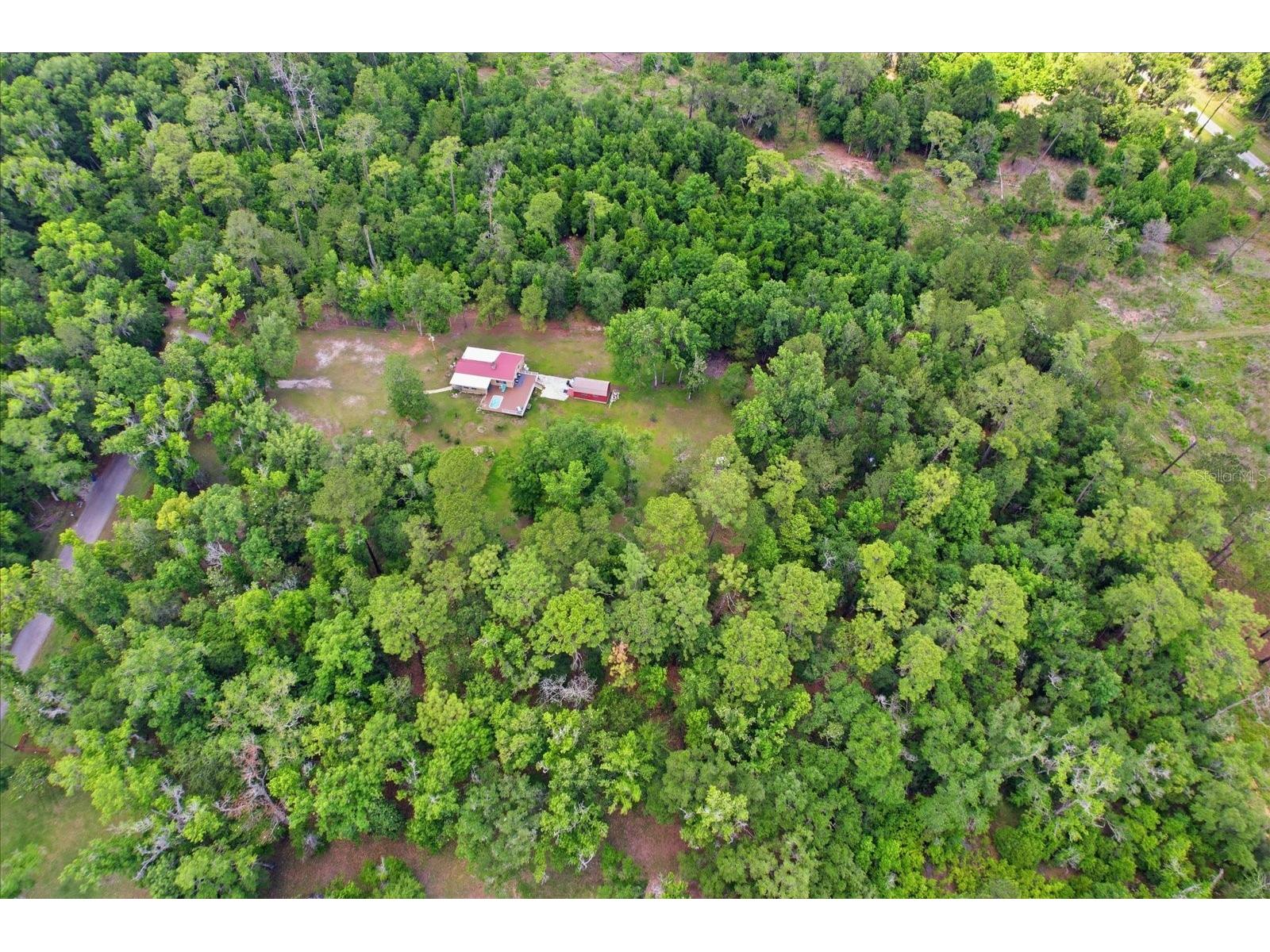 12220 Timber Lane Brooksville FL 34601 W7885578 image57