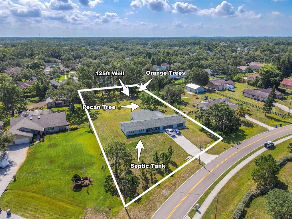 12220 Twin Branch Acres Road Tampa FL 33626 TB8389666 image3