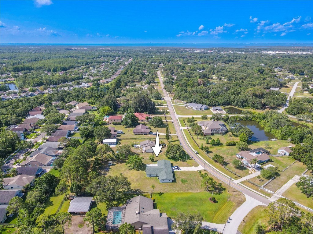 12220 Twin Branch Acres Road Tampa FL 33626 TB8389666 image48