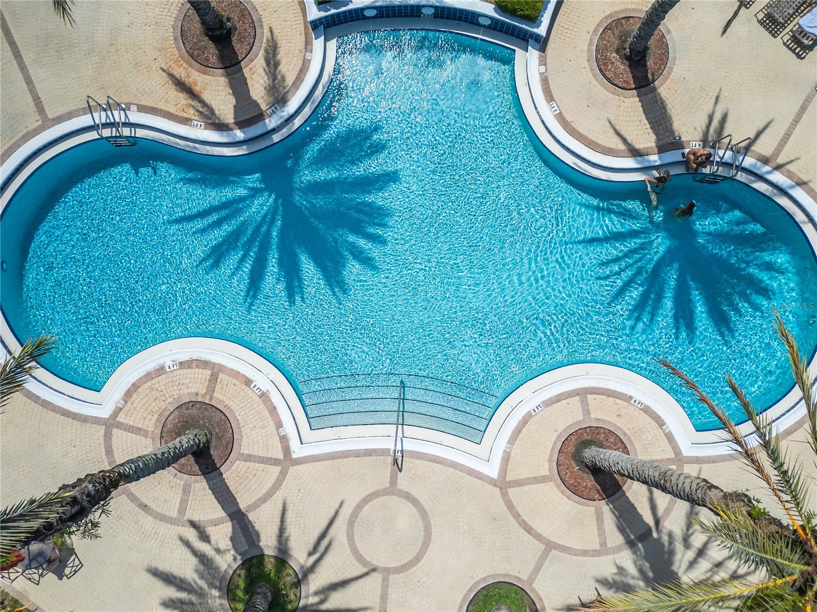 12220 Wild Iris Way #101 Orlando FL 32837 S5152588 image33