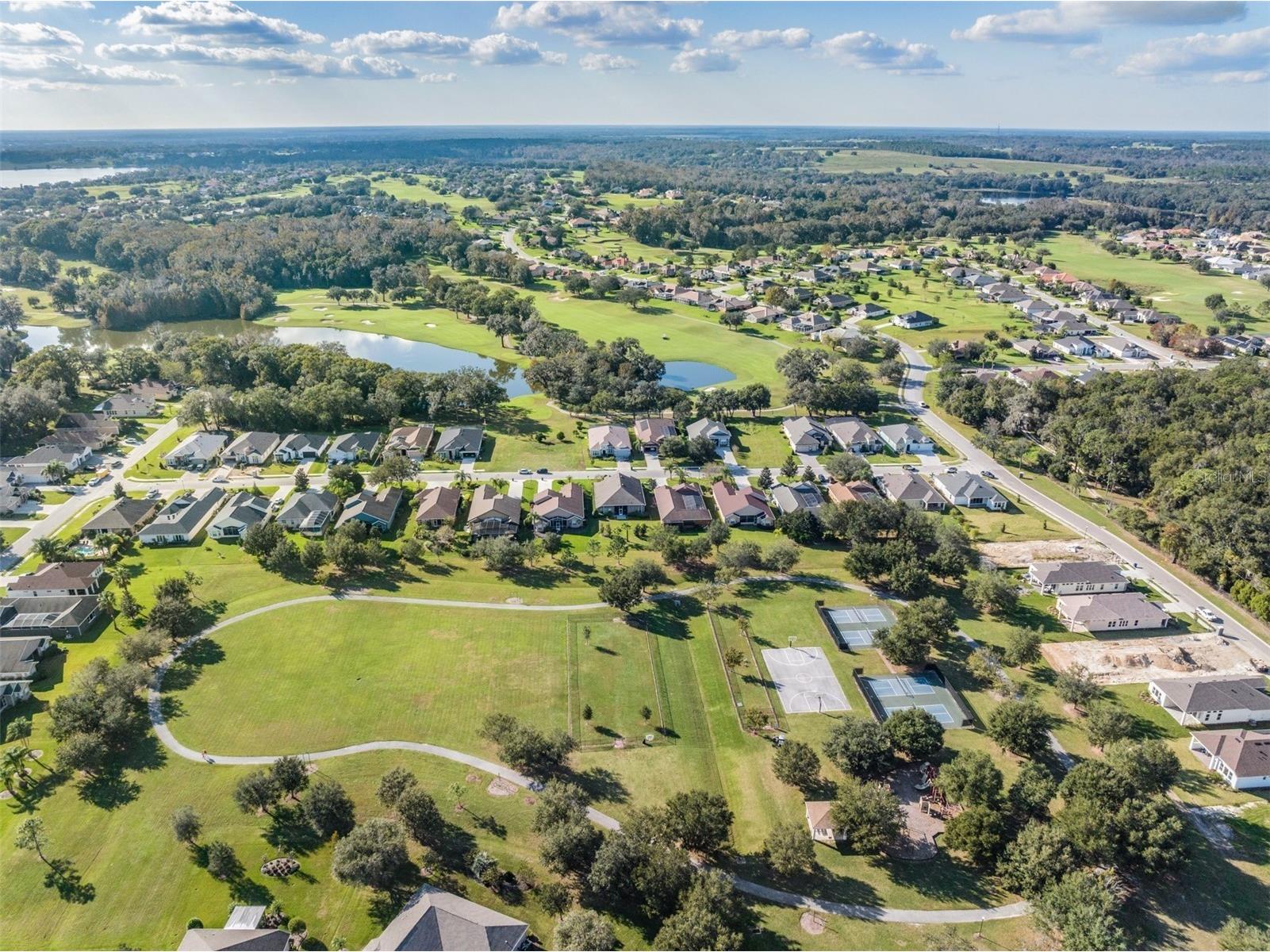 12220 Woodlands Circle Dade City FL 33525 TB8499078 image79