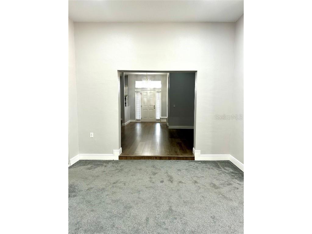 12221 Anne Kenia Drive Thonotosassa FL 33592 TB8451084 image11