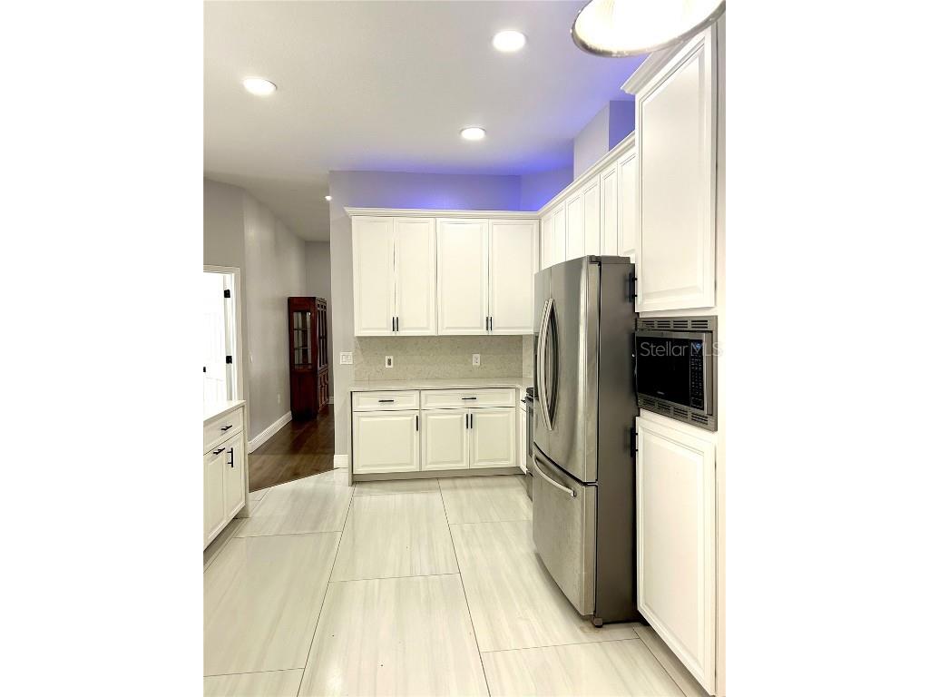 12221 Anne Kenia Drive Thonotosassa FL 33592 TB8451084 image19