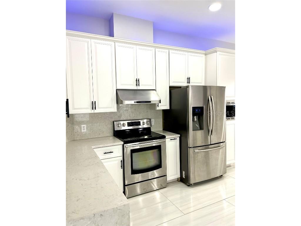 12221 Anne Kenia Drive Thonotosassa FL 33592 TB8451084 image21