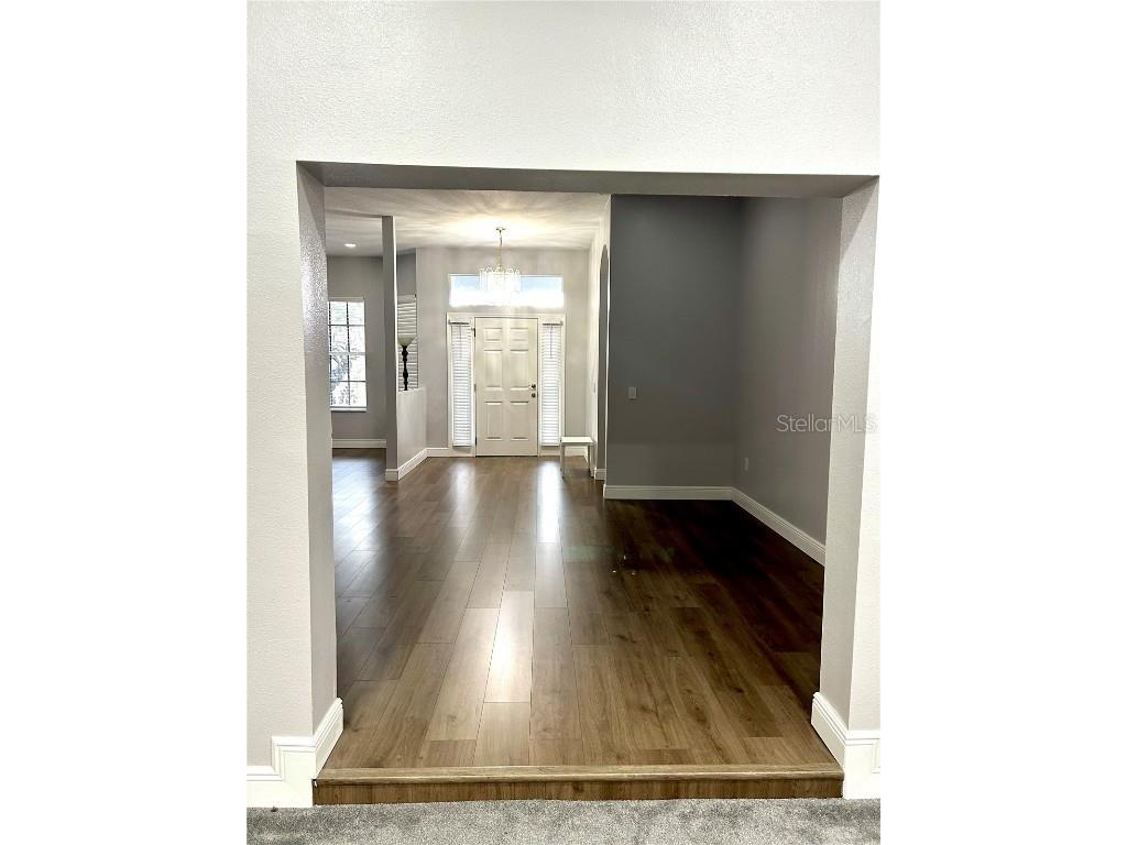 12221 Anne Kenia Drive Thonotosassa FL 33592 TB8451084 image27