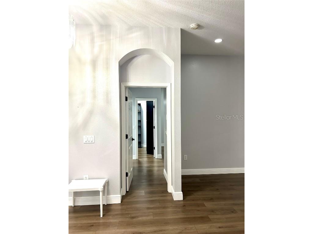 12221 Anne Kenia Drive Thonotosassa FL 33592 TB8451084 image30