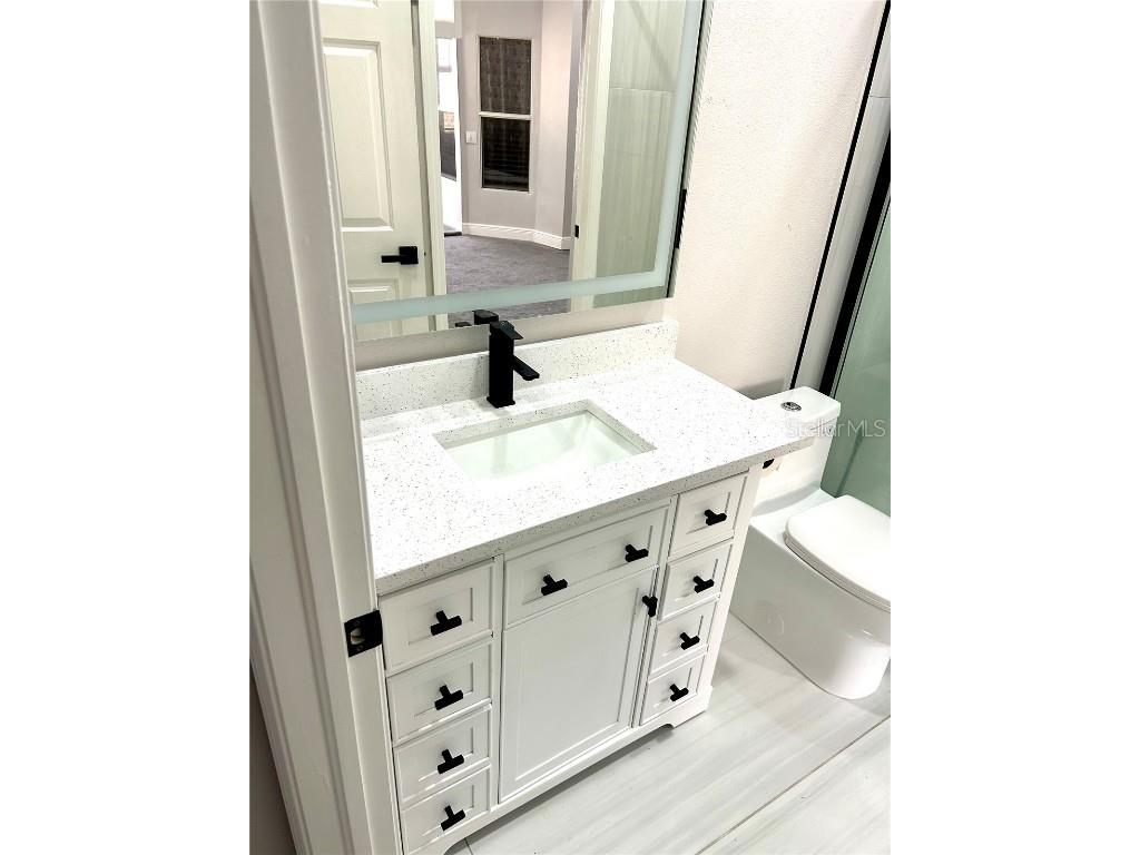 12221 Anne Kenia Drive Thonotosassa FL 33592 TB8451084 image46