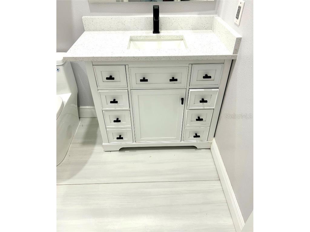 12221 Anne Kenia Drive Thonotosassa FL 33592 TB8451084 image57