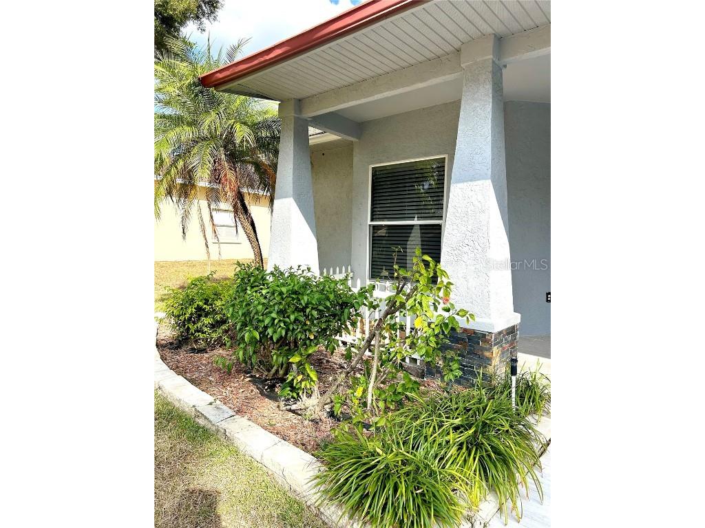 12221 Anne Kenia Drive Thonotosassa FL 33592 TB8451084 image6