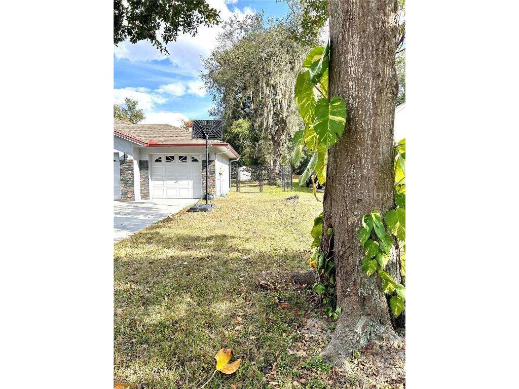 12221 Anne Kenia Drive Thonotosassa FL 33592 TB8451084 image60