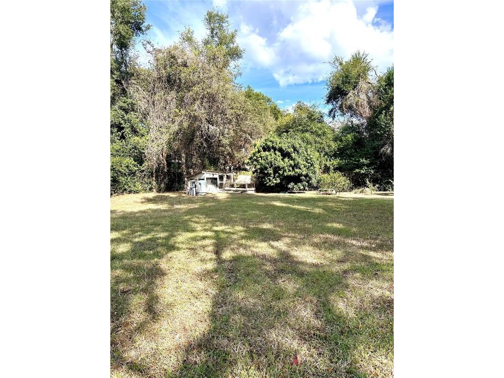 12221 Anne Kenia Drive Thonotosassa FL 33592 TB8451084 image62