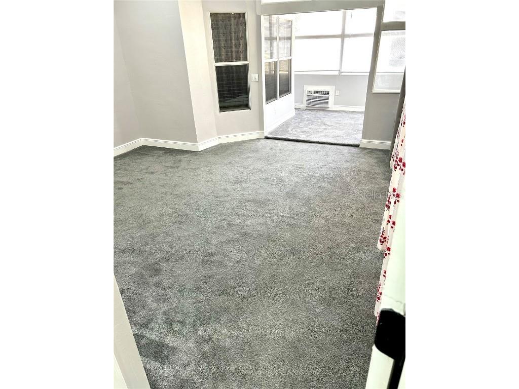 12221 Anne Kenia Drive Thonotosassa FL 33592 TB8451084 image9