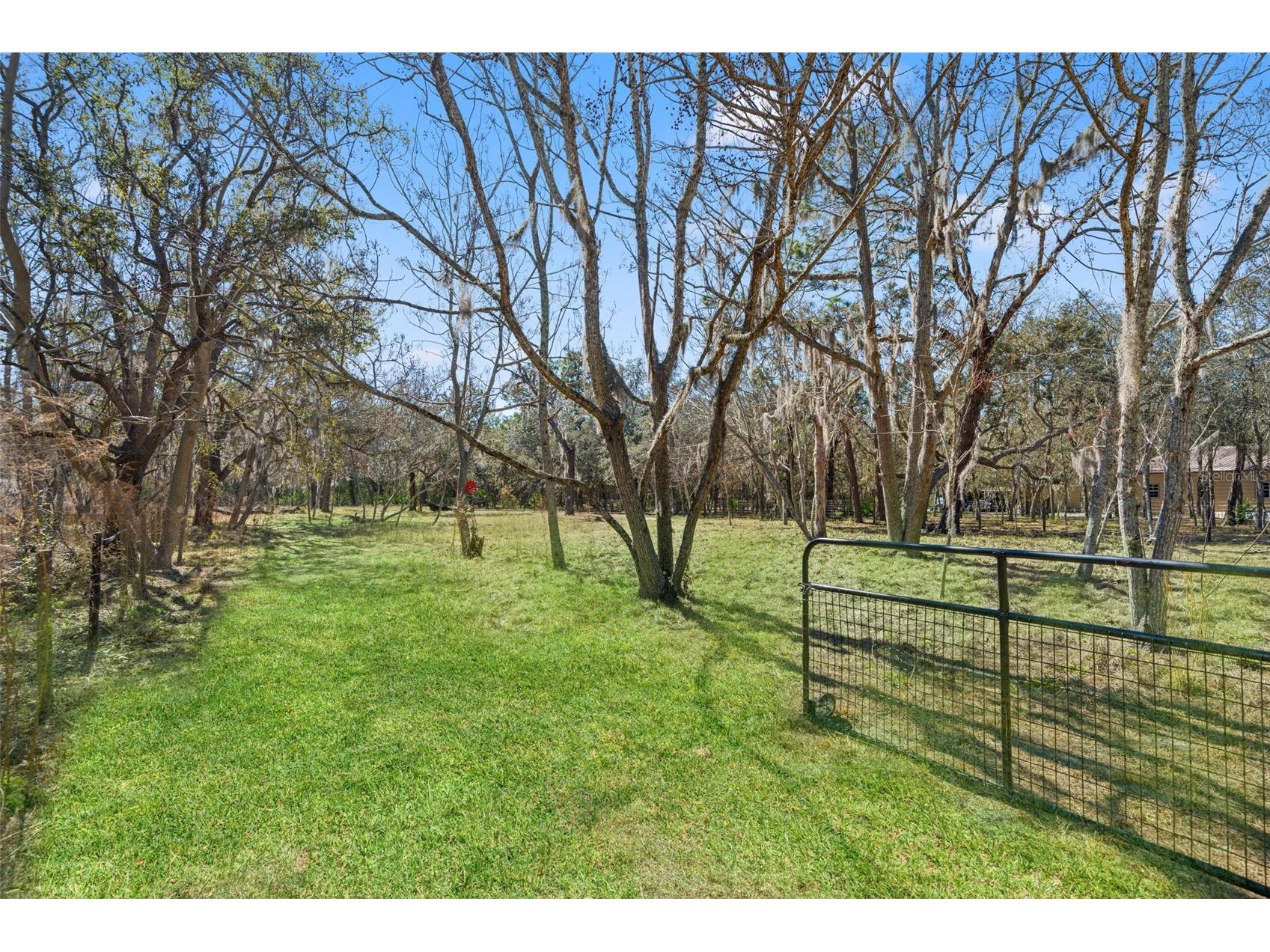 12222 Beagle Road Hudson FL 34667 W7882611 image4