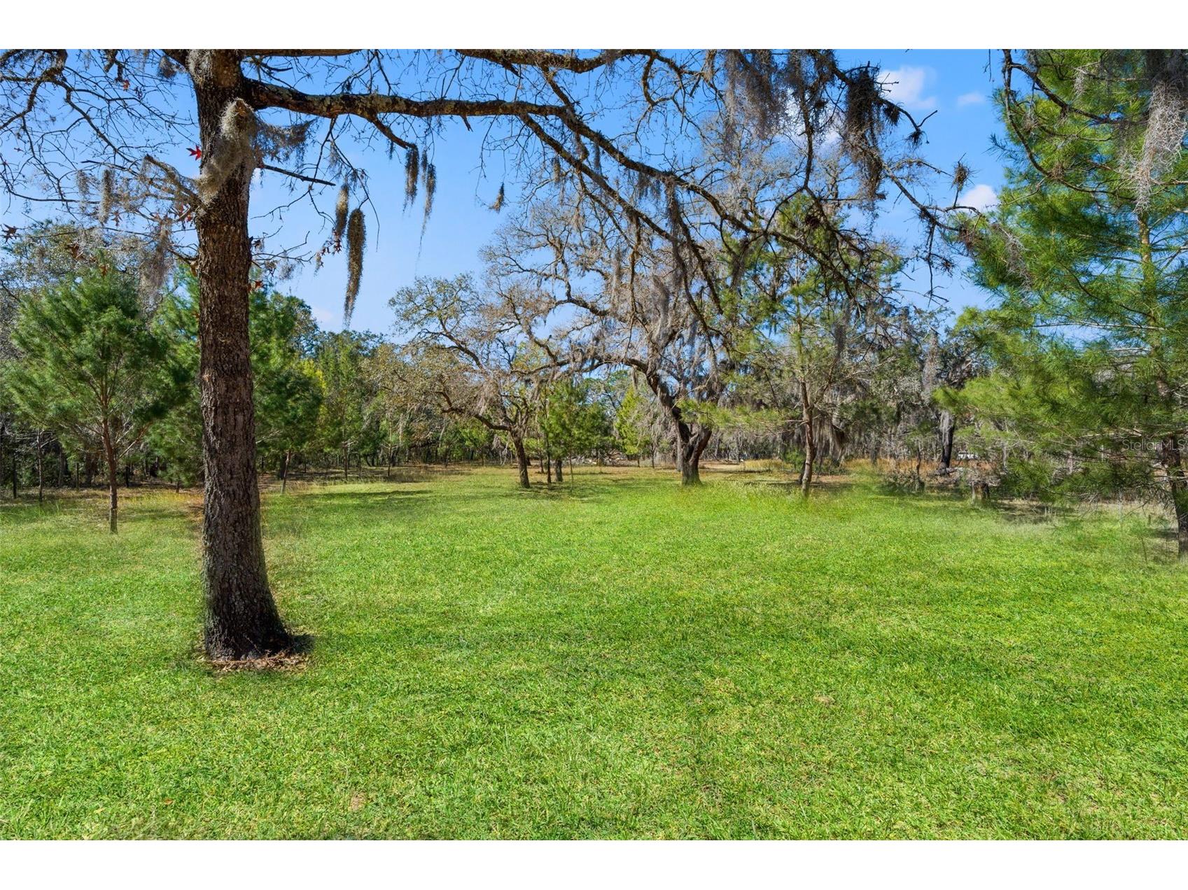 12222 Beagle Road Hudson FL 34667 W7882611 image44