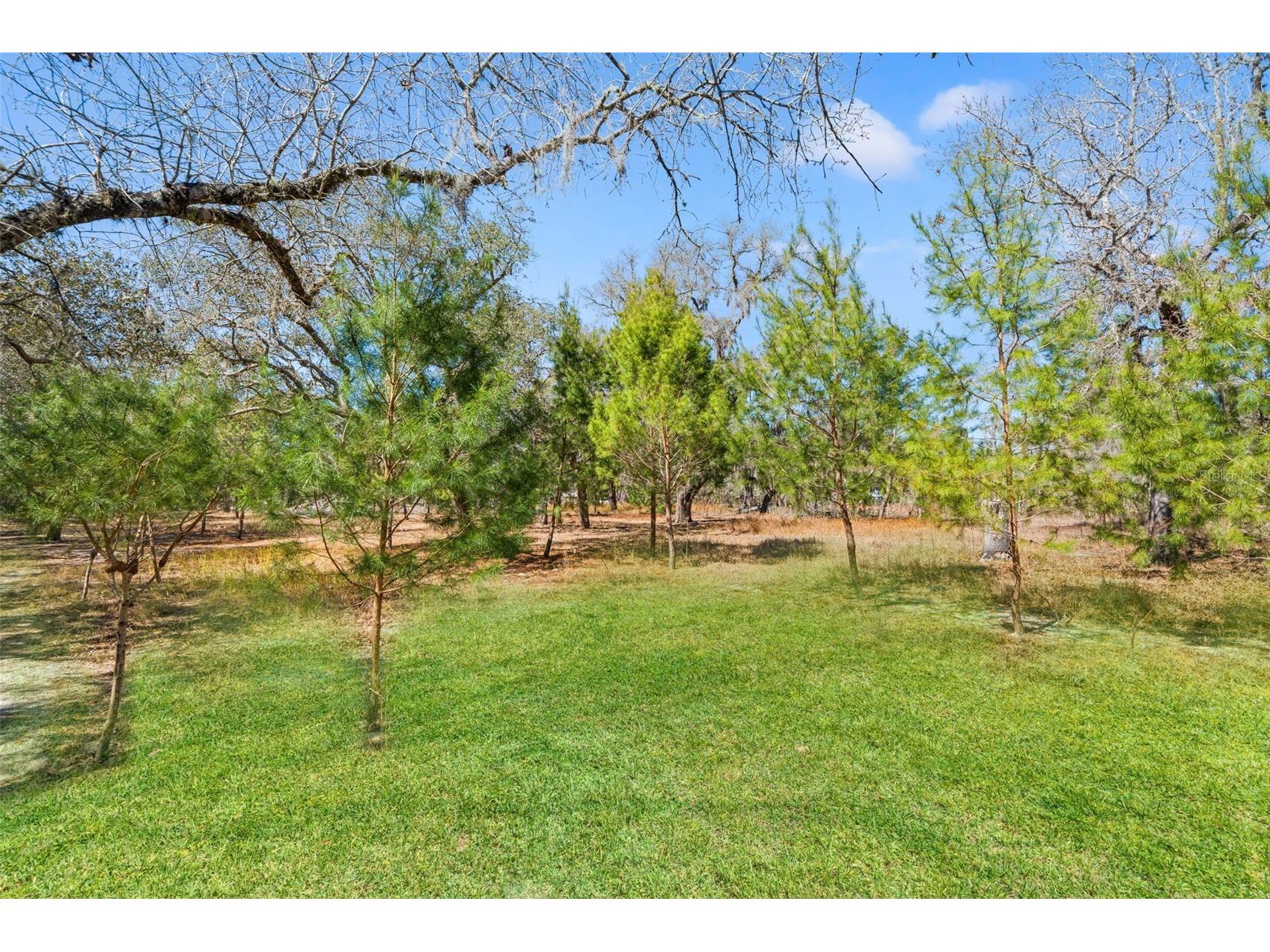 12222 Beagle Road Hudson FL 34667 W7882611 image56