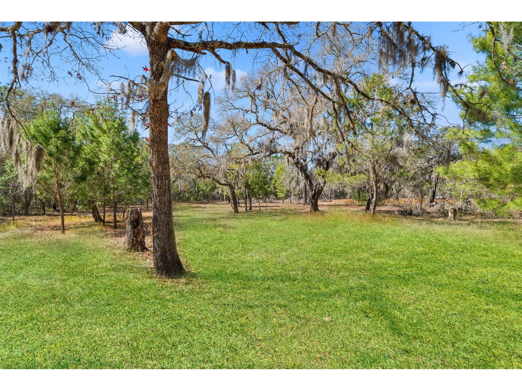 12222 Beagle Road Hudson FL 34667 W7882611 image57