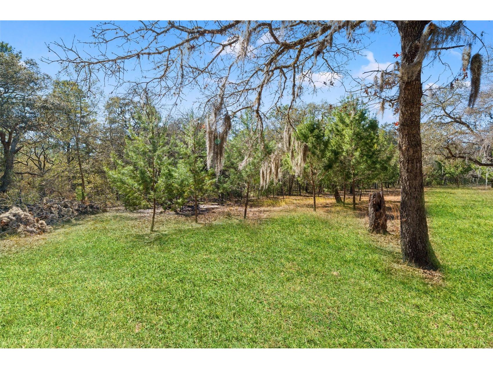 12222 Beagle Road Hudson FL 34667 W7882611 image58